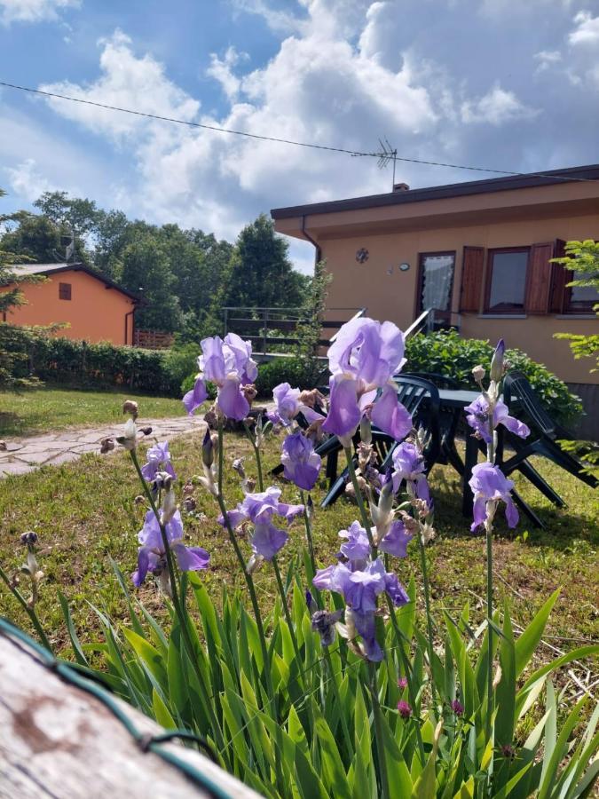 Chalet Grazia Valgiano Exterior foto