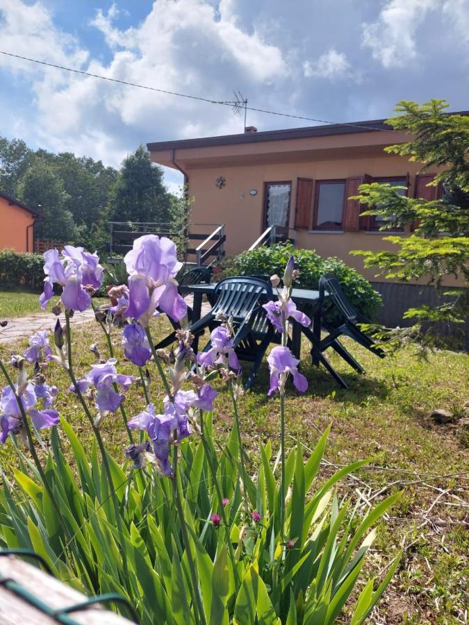Chalet Grazia Valgiano Exterior foto